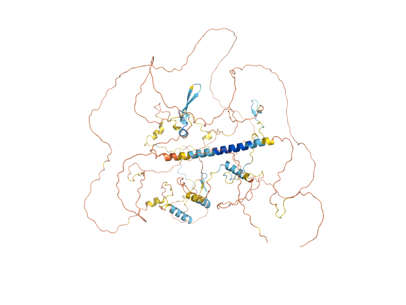 AlphaFold predicted structure of FIR1