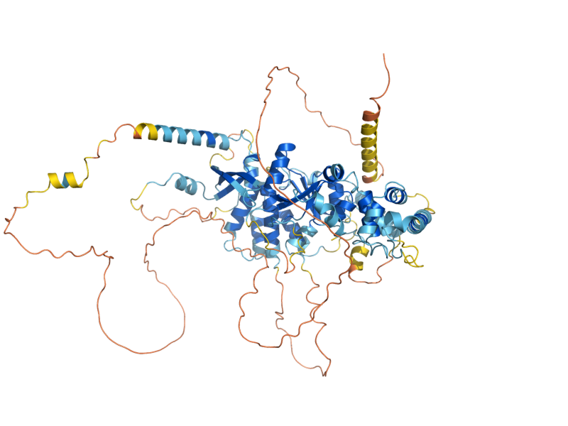 AlphaFold predicted structure of YEN1