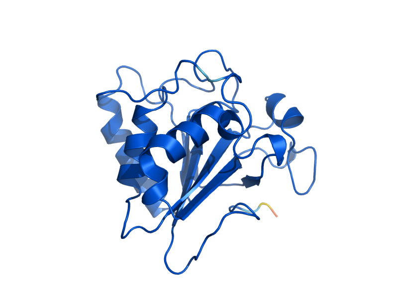 AlphaFold predicted structure of MXR1