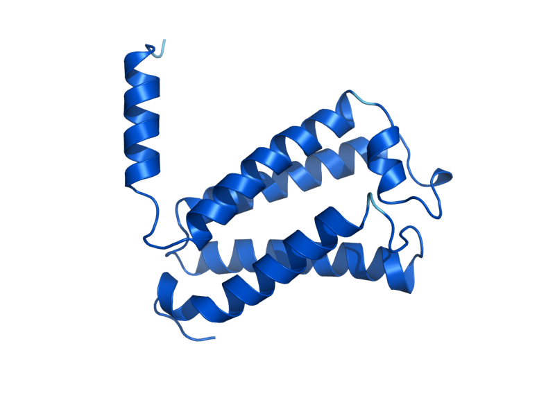 AlphaFold predicted structure of ERG28