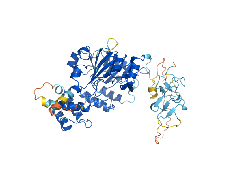 AlphaFold predicted structure of JHD1