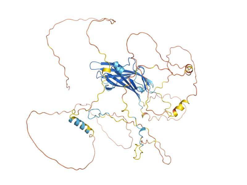 AlphaFold predicted structure of GIP2