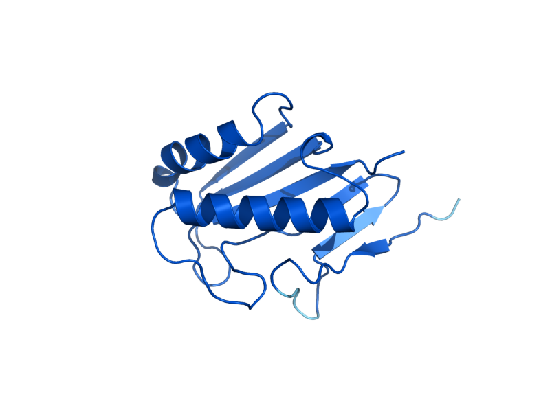 AlphaFold predicted structure of HMF1