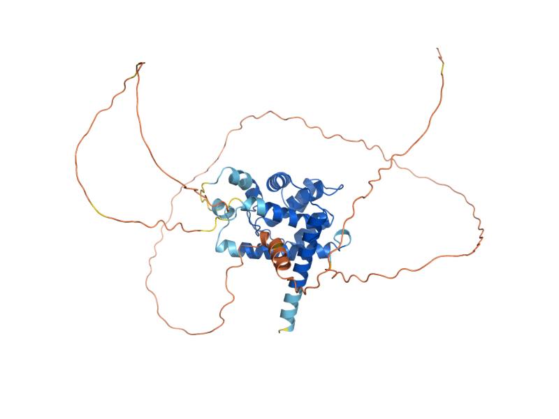 AlphaFold predicted structure of PCL6