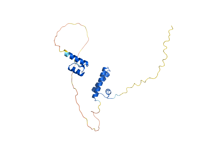 AlphaFold predicted structure of THO1