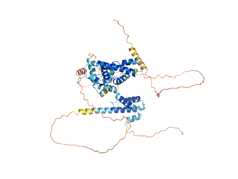 AlphaFold predicted structure of VHR2