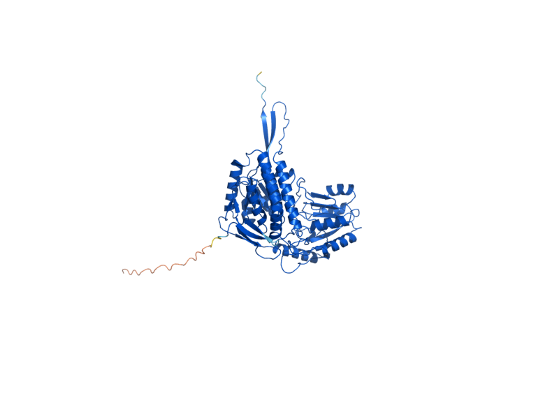 AlphaFold predicted structure of ALD5