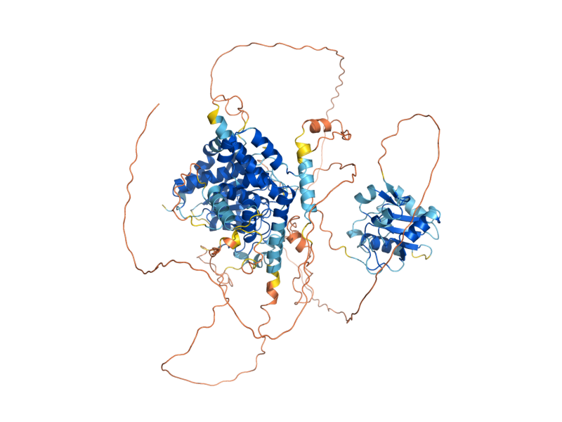 AlphaFold predicted structure of PTP3