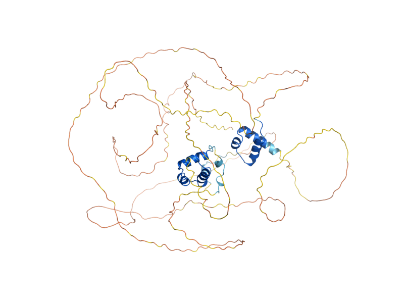 AlphaFold predicted structure of DOT6