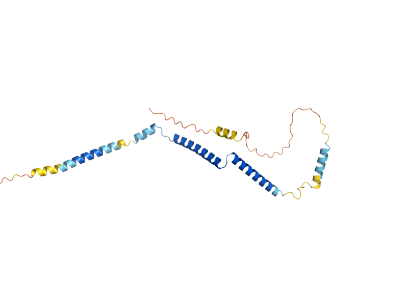 AlphaFold predicted structure of RTT105