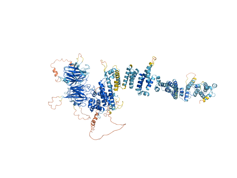 AlphaFold predicted structure of NUP157