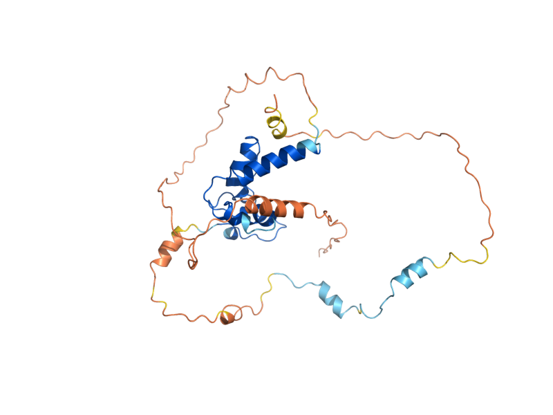 AlphaFold predicted structure of MAM1