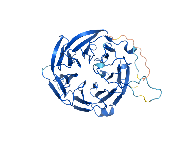 AlphaFold predicted structure of GLE2