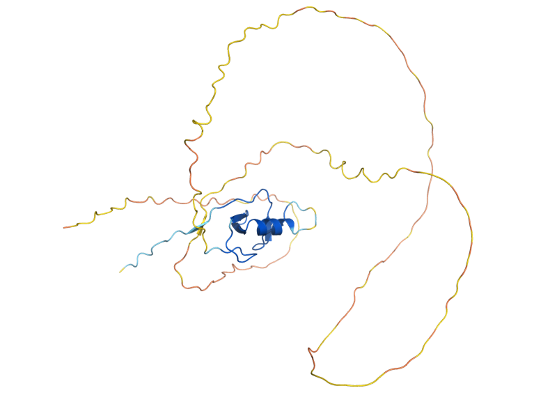 AlphaFold predicted structure of SLX8