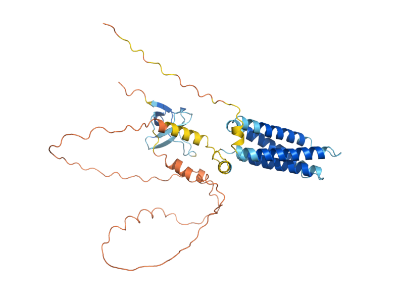 AlphaFold predicted structure of SHO1