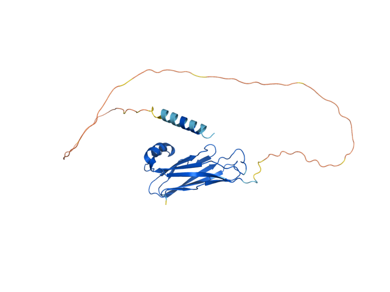 AlphaFold predicted structure of SCS2