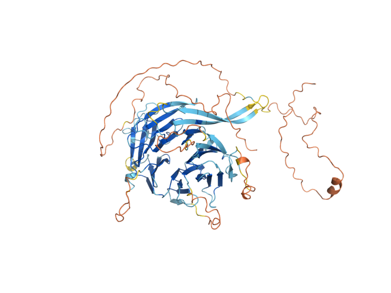 AlphaFold predicted structure of DSE1