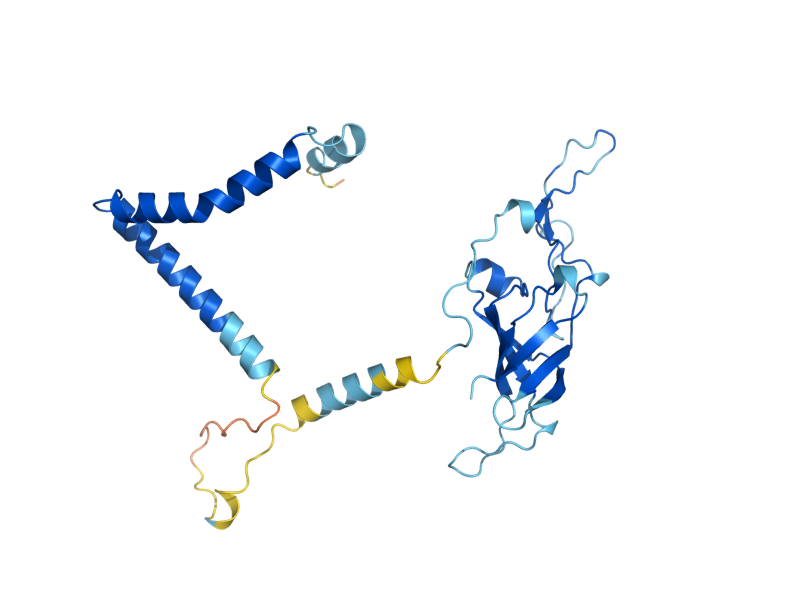AlphaFold predicted structure of NSA2