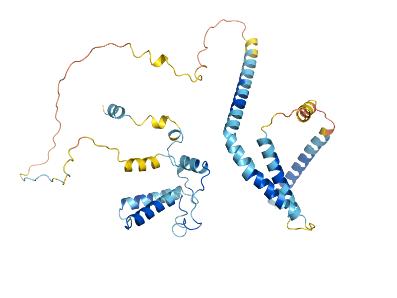 AlphaFold predicted structure of LCP5