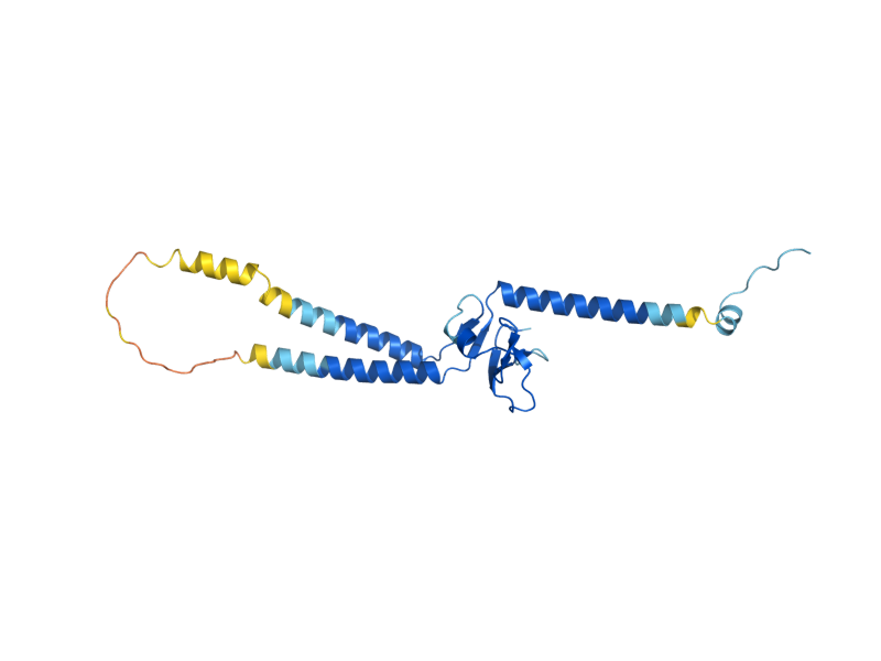 AlphaFold predicted structure of VFA1