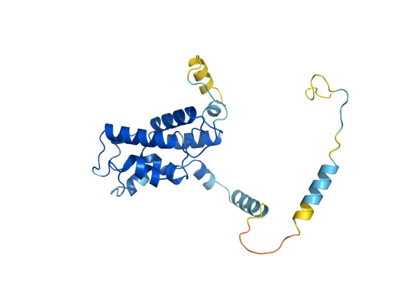 AlphaFold predicted structure of RTR1