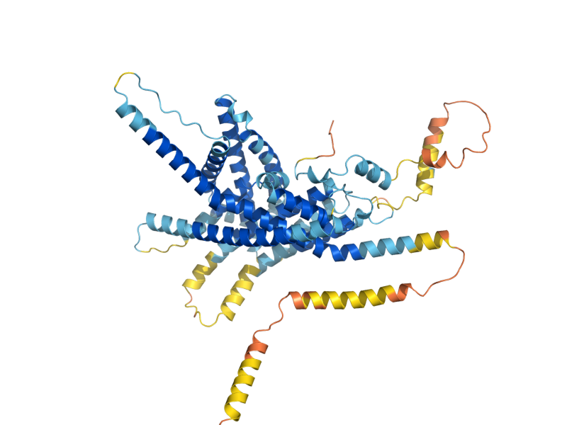 AlphaFold predicted structure of EMP65