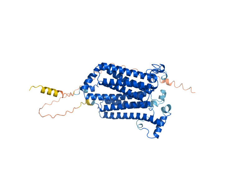 AlphaFold predicted structure of COX15