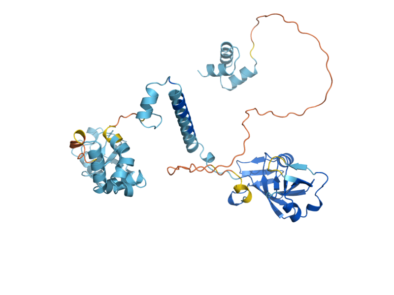 AlphaFold predicted structure of DDI1