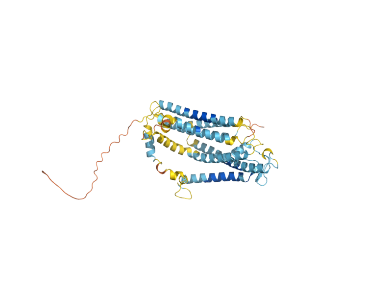 AlphaFold predicted structure of FTR1