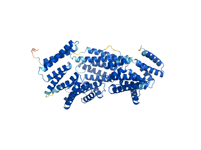 AlphaFold predicted structure of SCC4
