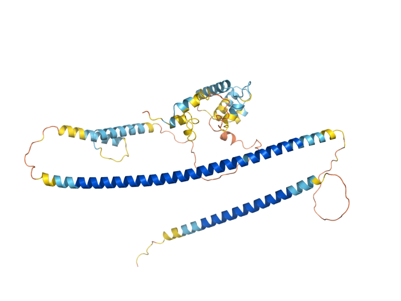 AlphaFold predicted structure of PEA2