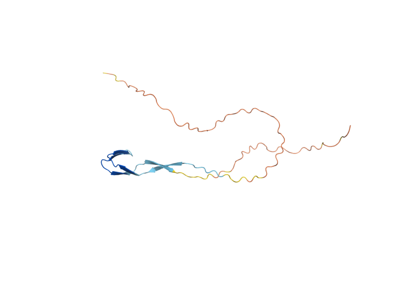 AlphaFold predicted structure of SPI1