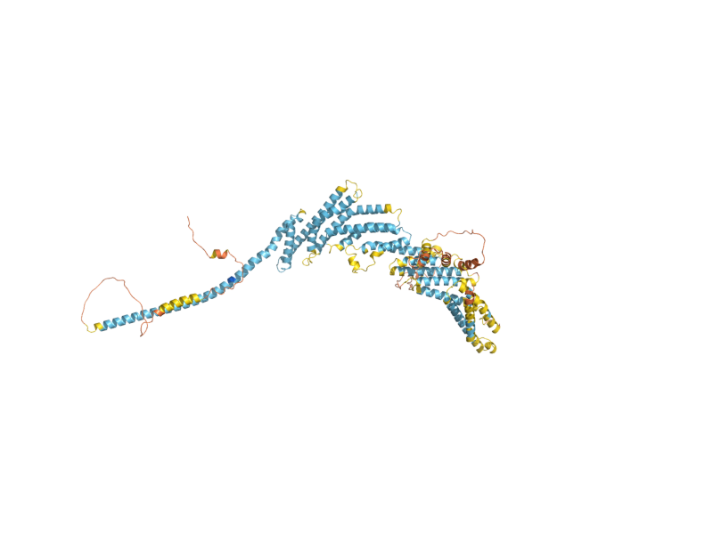 AlphaFold predicted structure of COG3