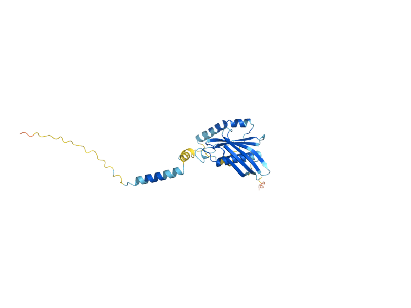 AlphaFold predicted structure of FMP10