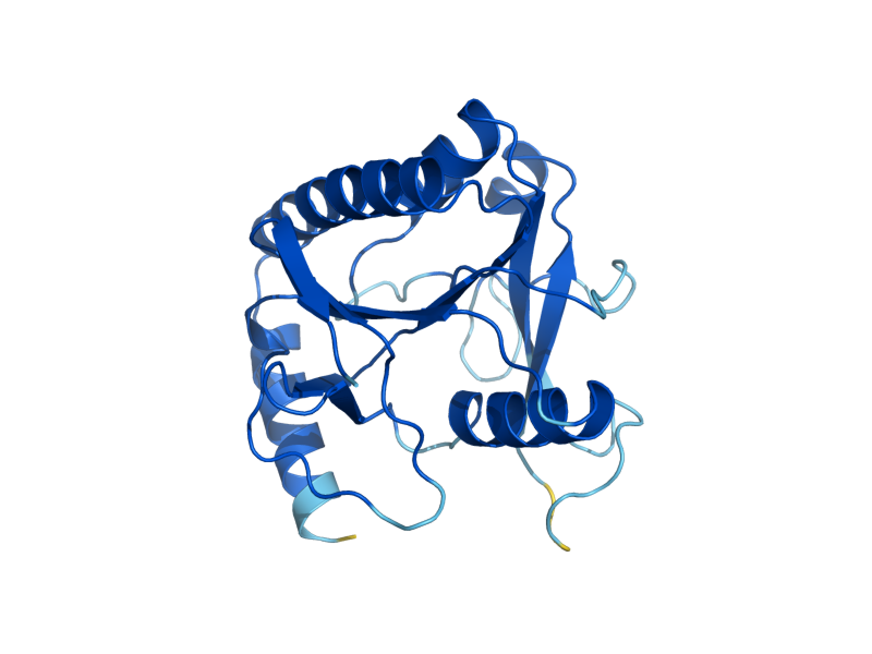 AlphaFold predicted structure of FAU1