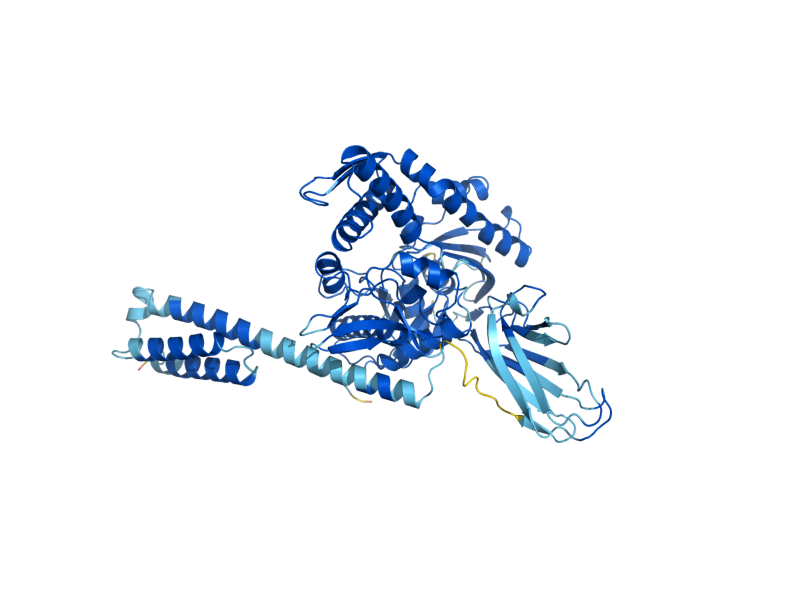 AlphaFold predicted structure of SSB2