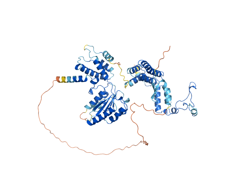 AlphaFold predicted structure of MGS1