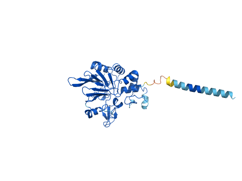 AlphaFold predicted structure of PPN2