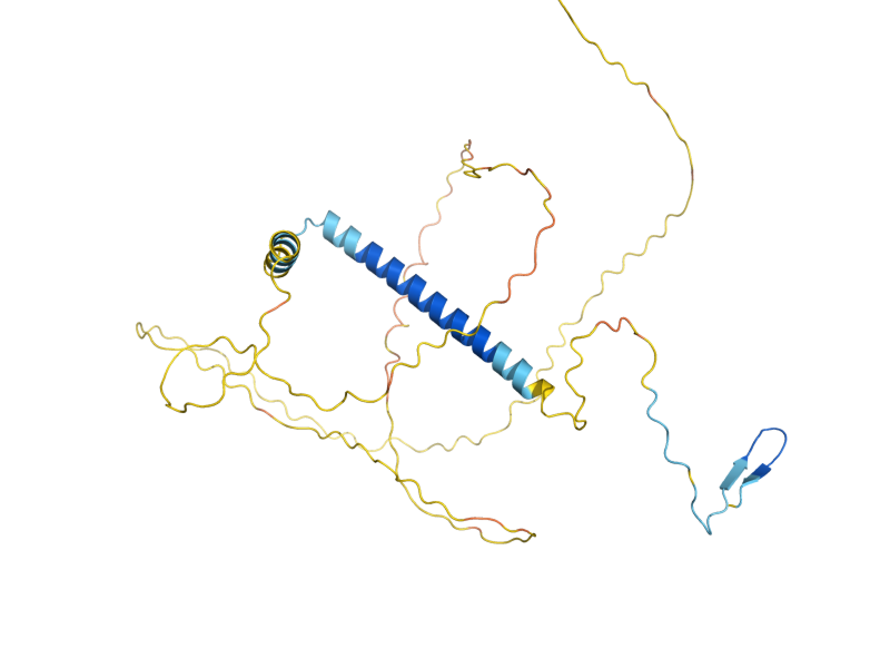 AlphaFold predicted structure of IES2