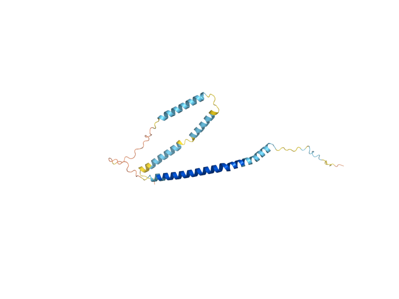 AlphaFold predicted structure of PEX17