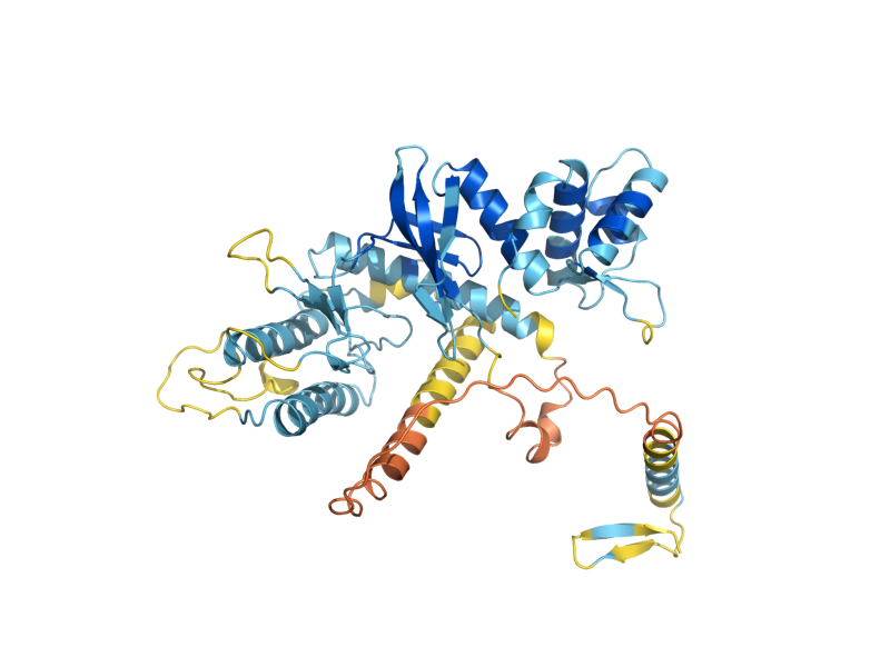 AlphaFold predicted structure of RIO2