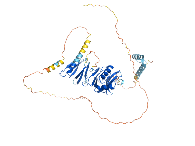 AlphaFold predicted structure of RTT106