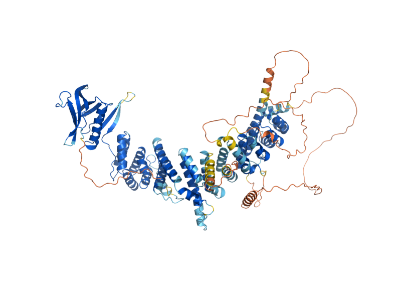 AlphaFold predicted structure of PSY2