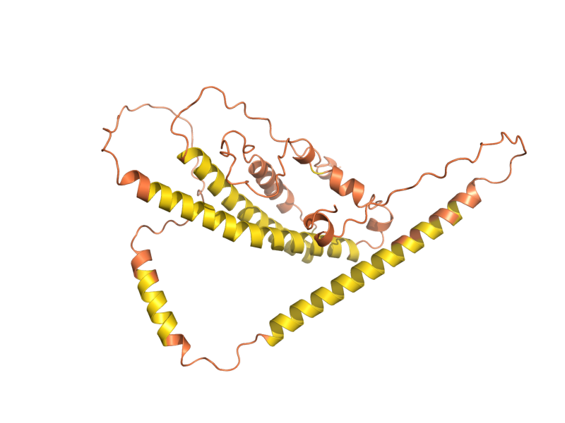 AlphaFold predicted structure of SLZ1