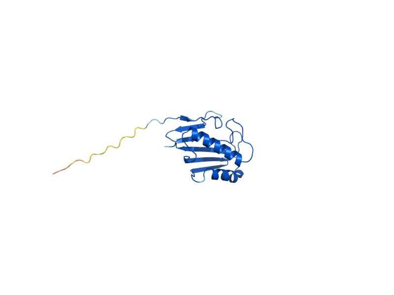 AlphaFold predicted structure of MMF1