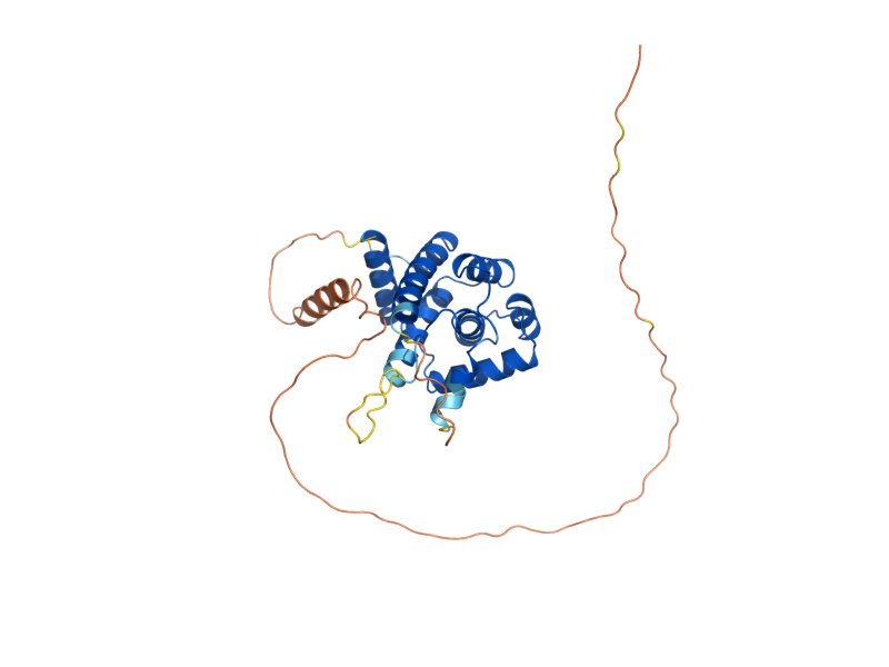 AlphaFold predicted structure of PCL7