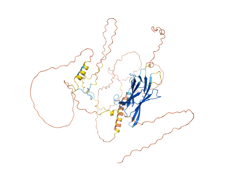 AlphaFold predicted structure of PIG2