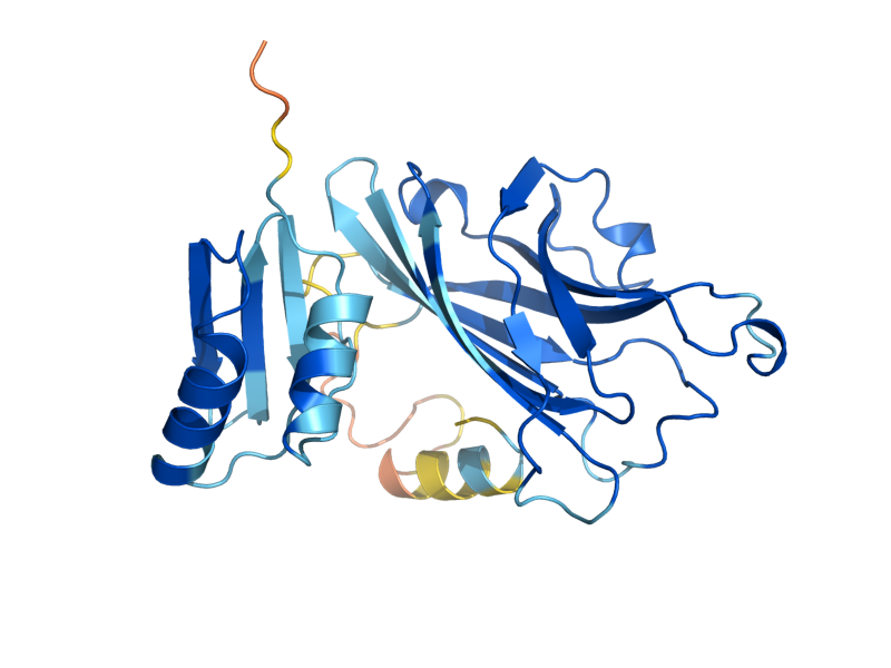 AlphaFold predicted structure of CCS1
