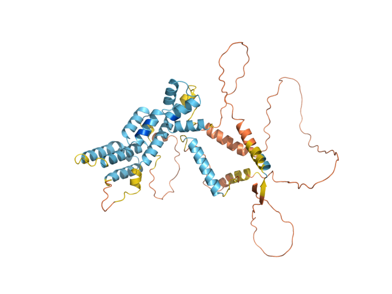 AlphaFold predicted structure of GID8