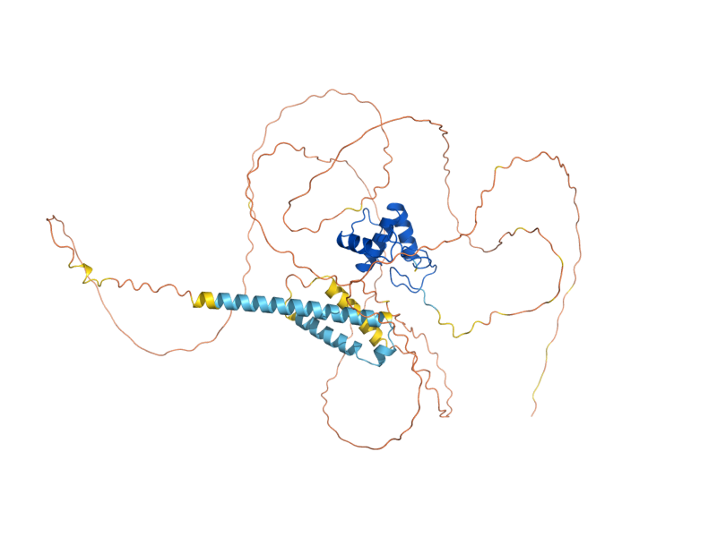 AlphaFold predicted structure of GAT2